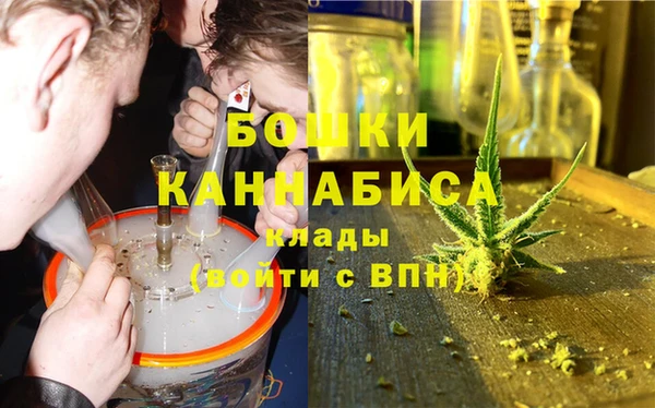 Альфа ПВП Белокуриха