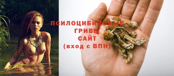 Альфа ПВП Белокуриха
