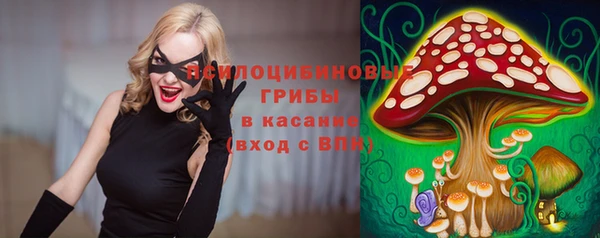 молекула духа Белоозёрский