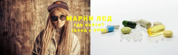 ГАЛЛЮЦИНОГЕННЫЕ ГРИБЫ Беломорск