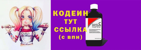 дмт Каменка