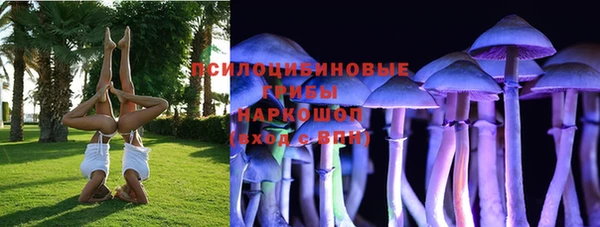 Альфа ПВП Белокуриха