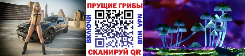 Галлюциногенные грибы Psilocybe ссылка на мегу Краснозаводск